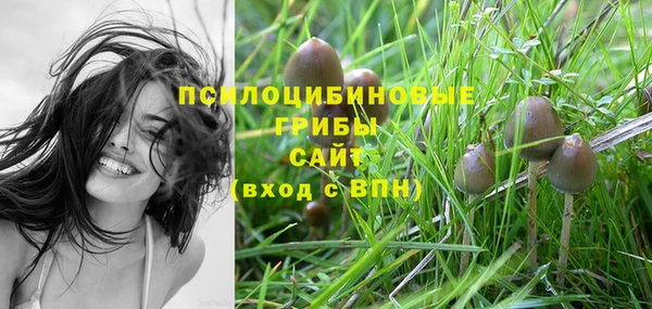 прущая мука Майский