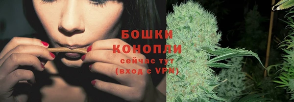 крисы Медногорск