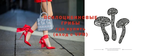 крисы Медногорск